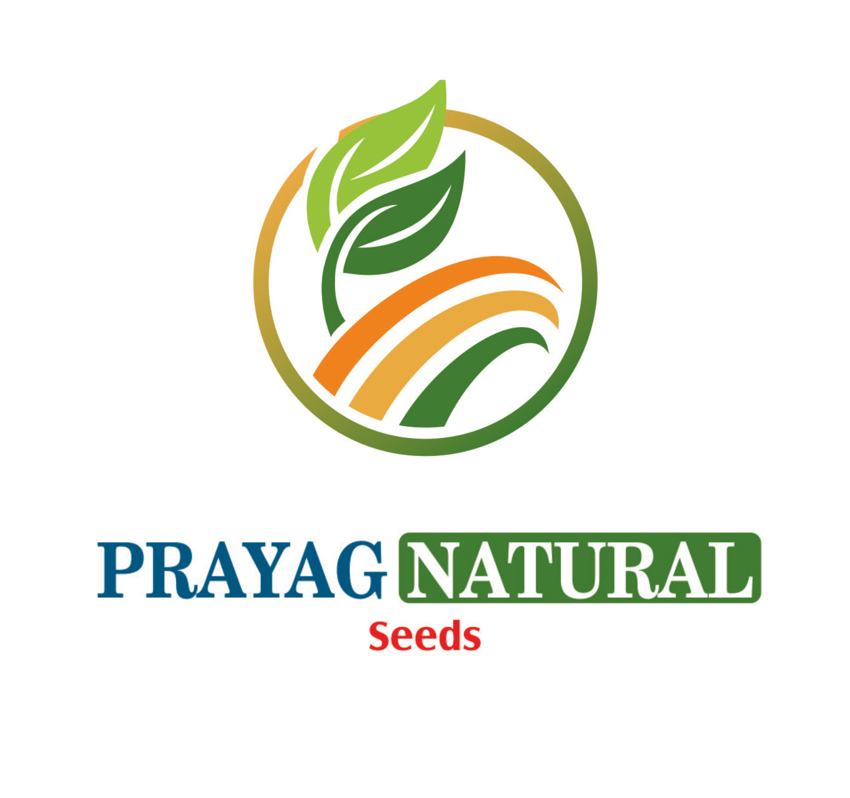 1_20250811_093457_0000 1_20250811_093457_0000