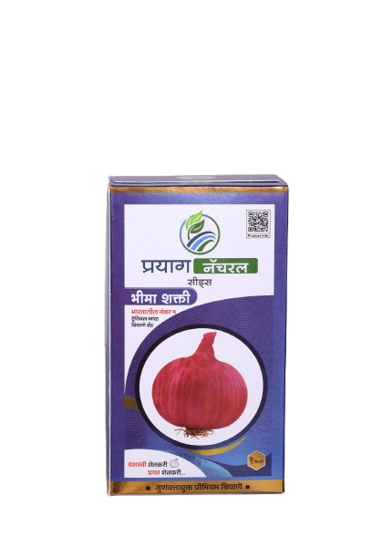 MORE1244_copy-removebg-preview