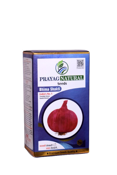 MORE1250_copy-removebg-preview